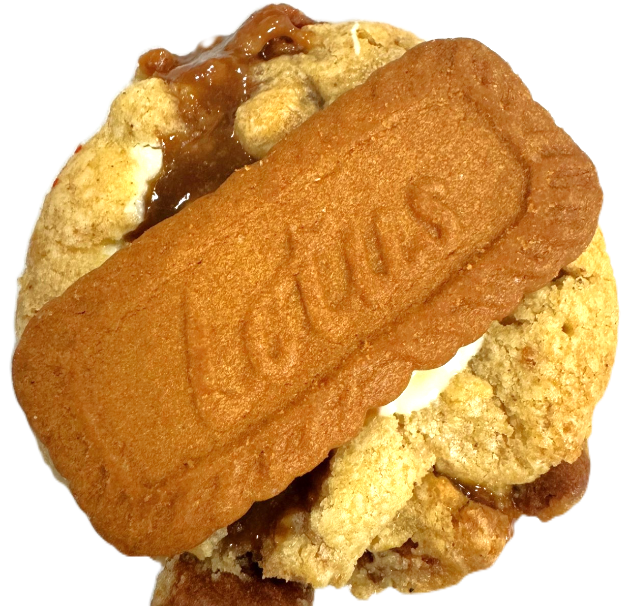 Close-up of a Lotus and caramel center cookie, topped with a Lotus biscuit piece and baked to a golden finish.