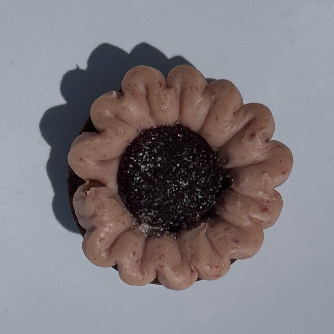 Cocoa Breton Biscuit with Cherry Ganache and Cherry Pâte de Fruit
