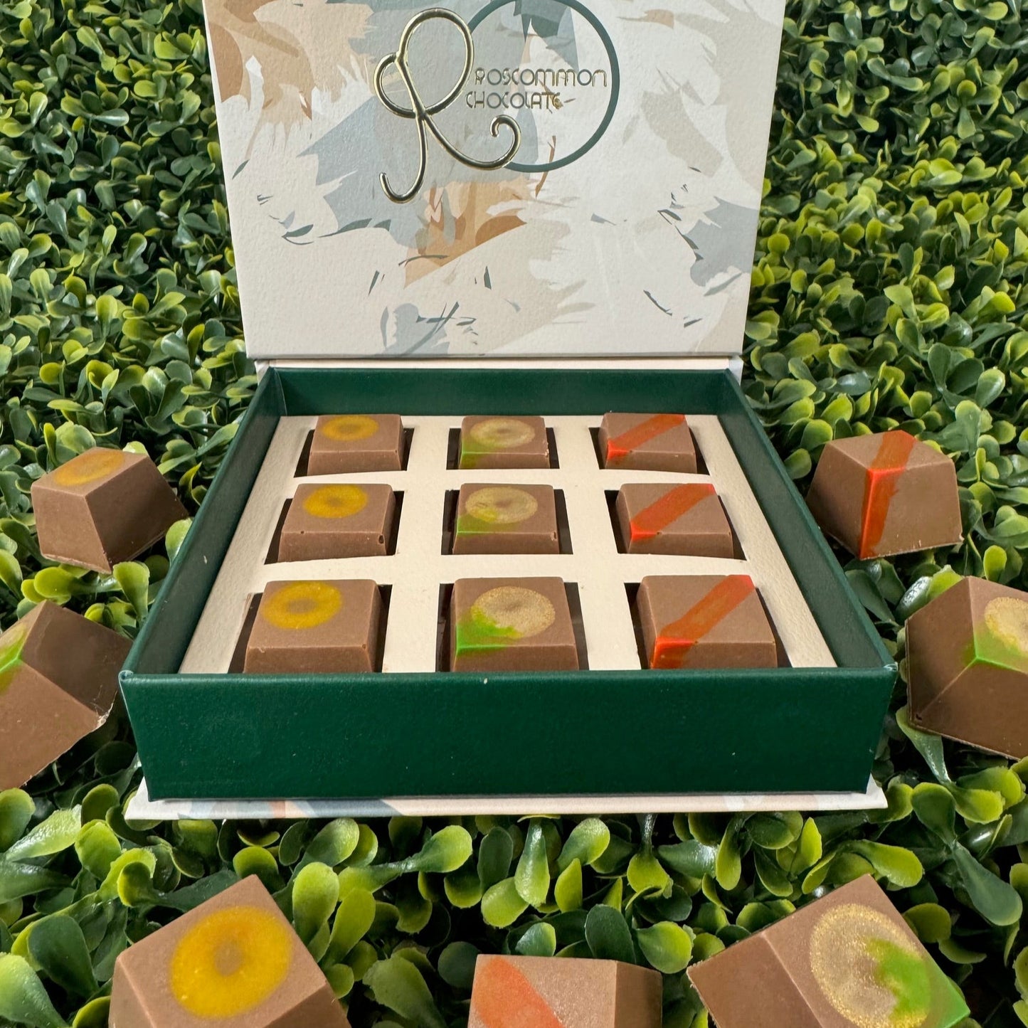 Open chocolate box with assorted chocolates on a green leafy background