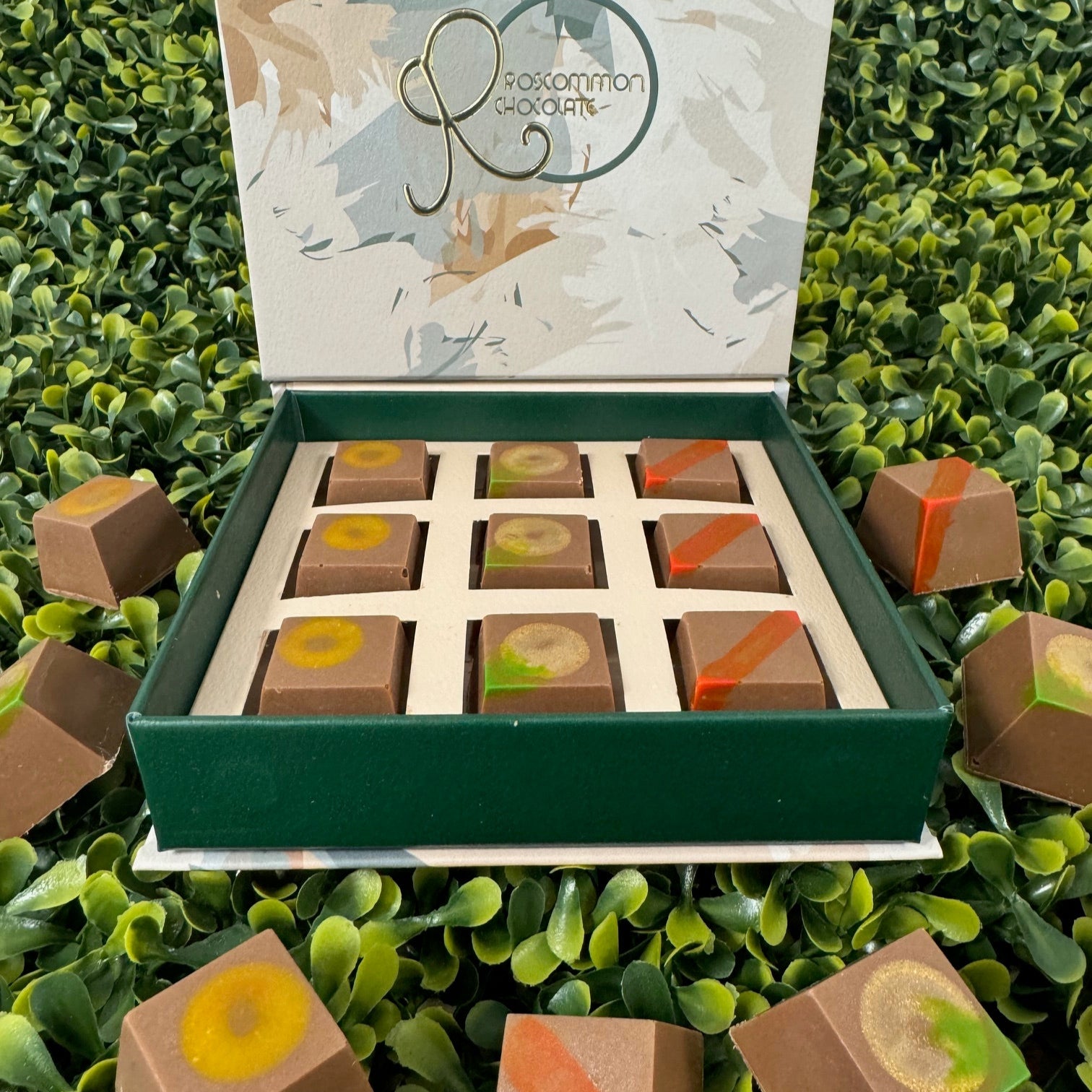 Open chocolate box with assorted chocolates on a green leafy background