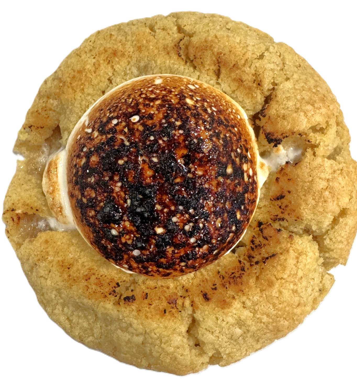 Close-up of a chocolate chip cookie with torched marshmallow topping and gooey dark chocolate center.