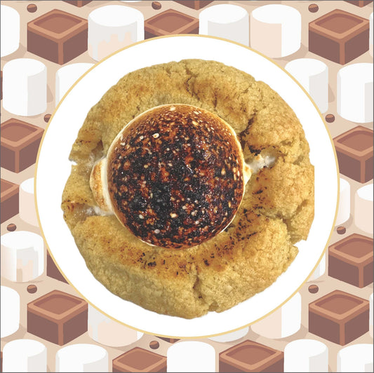 Close-up of a chocolate chip cookie with torched marshmallow topping and gooey dark chocolate center.
